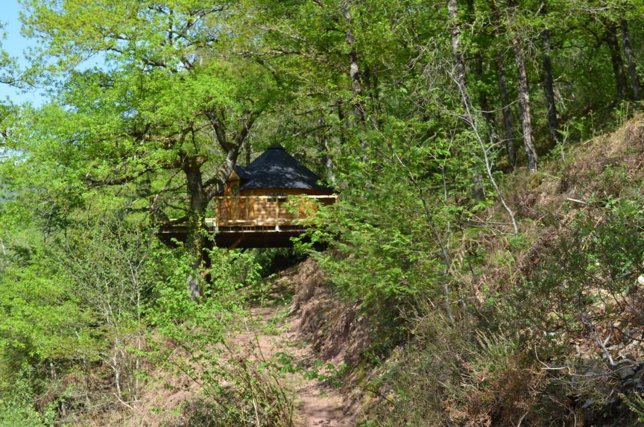 Ma Cabane En Aveyron Conques-en-Rouergue Eksteriør billede