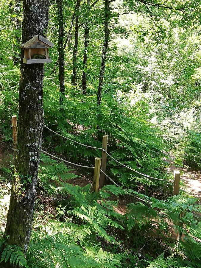 Ma Cabane En Aveyron Conques-en-Rouergue Eksteriør billede